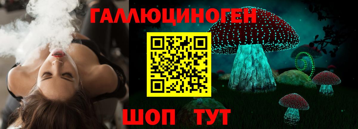где купить наркоту  Псилоцибиновые грибы ЛСД  Вход с VPN  Алапаевск  Галлюциногенные грибы Psilocybine cubensis 